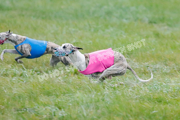 Prelim, Open 1, W, Britta-Booster-Clara-0457