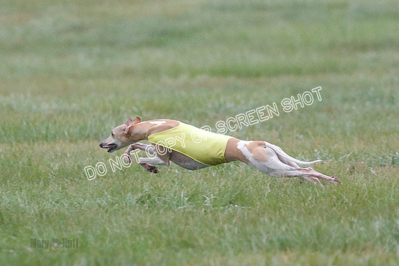 Prelim, Open 3, W, Katana-Aerie-Clark -0597