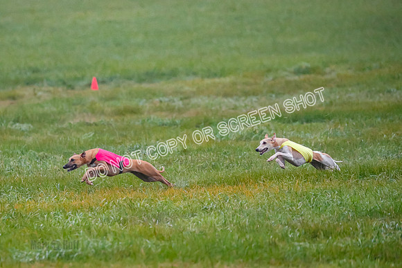Prelim, Open 3, W, Katana-Aerie-Clark -0554