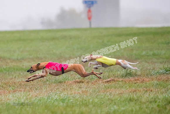 Prelim, Open 3, W, Katana-Aerie-Clark -0622