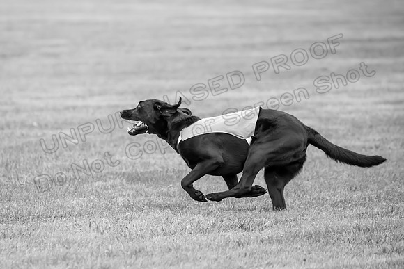 Prelims Rowan-0862-2