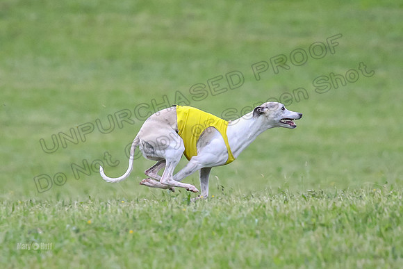 Prelim Open C1, Mizuno Prim Oscar-8598