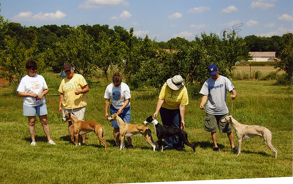 1995 CWA Gail Wegner,Milo,Chrome,-,Winston