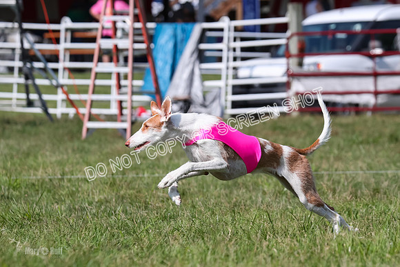 Open Prelim B3, Tavia, Birdie-7942