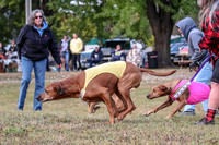1 Prelims Fch 1 Ace Dakota Remmy-0254