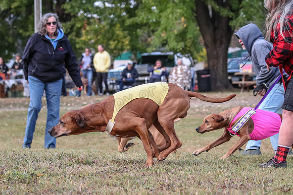 1 Prelims Fch 1 Ace Dakota Remmy-0254