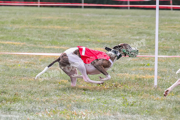 Prg 2, Race 1, Clyps Warrior Floyd Carney-1283