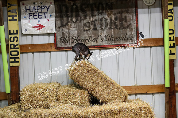 AE4I1494