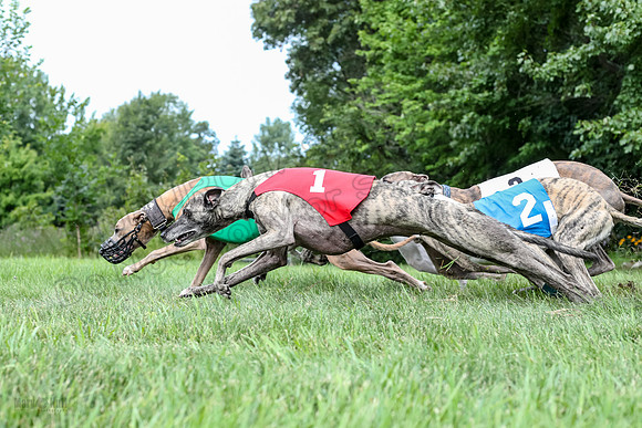 prg 1 race 4 lola Willow Finely Ullr Ready-3581