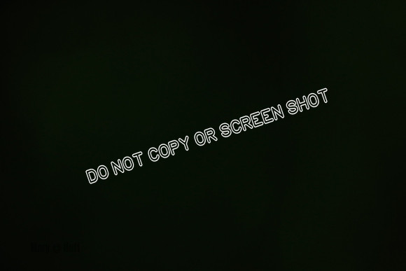 _E4I3913
