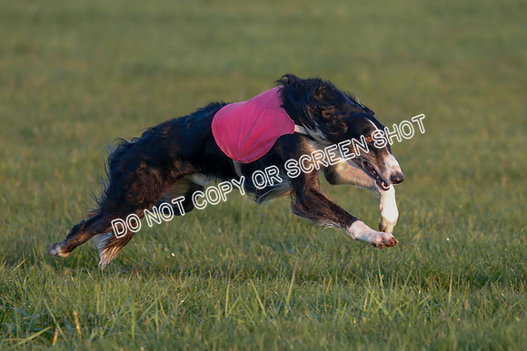 _E4I3871