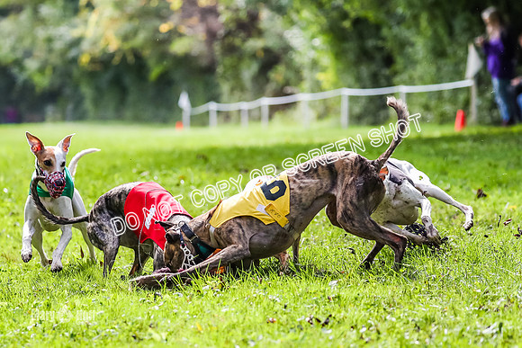 AE4I1833