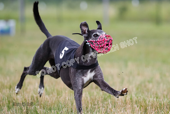 Prg 3, Race 2, Chuck-Tusi-Smokey-Raz-Angel-Nathalia-1066