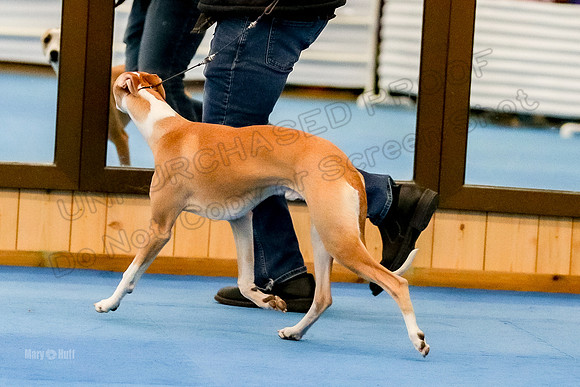 AE4I3603