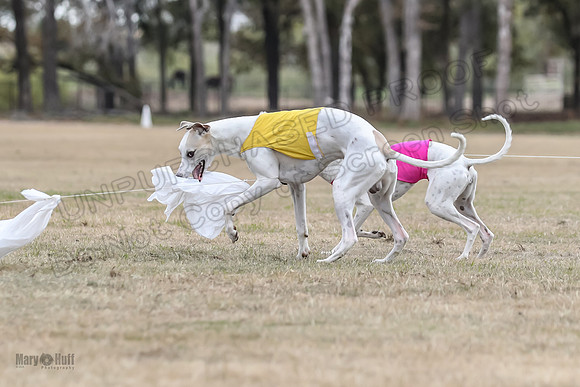 Finals Open 2 Cheese PeteySue Treble-3988