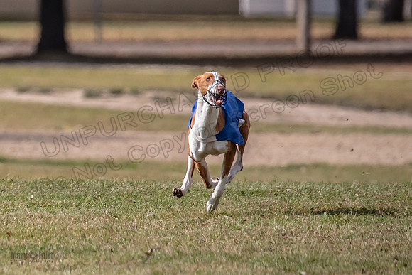 Finals Fch 1 Penny Jadis Madyson-3109