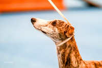 AE4I4062