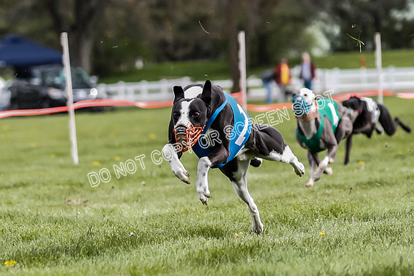 WRA, Prg 1, Race 10, Jamie Pico Nami Elia CC Savvy-8422
