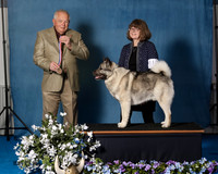 Elkhound 2020-1074
