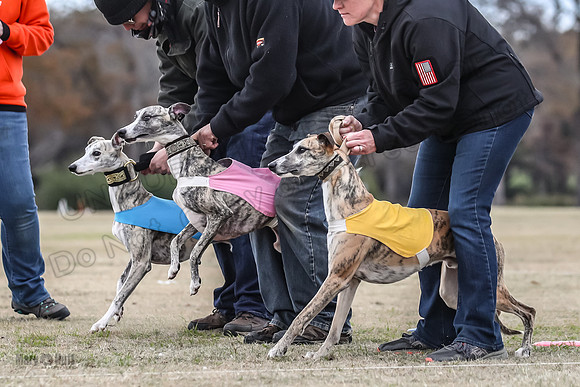 Finals Open 1 Steel Maverick Eggsy-3831