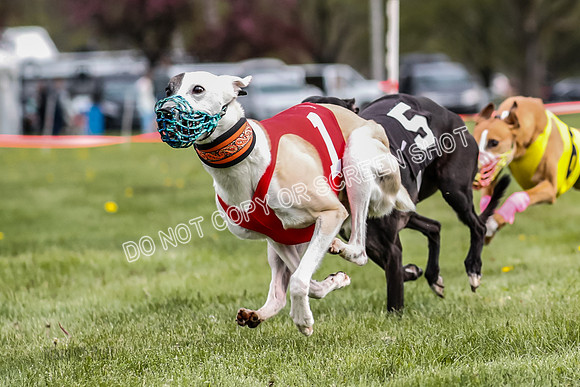 WRA, Prg 1, Race 10, Jamie Pico Nami Elia CC Savvy-8425