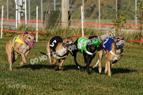 MCH77104  Bam, Vander, Bomba, Titon-S, Puma, Mater