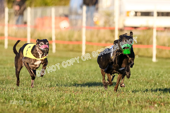 MCH76974  MsSeaBee, Wicca, Tutu, Macy-T, JoJo