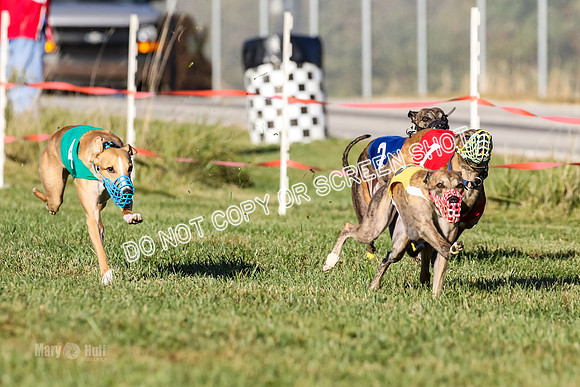MCH77172  Whirly, Burn, Seavey, Blondi, Deal