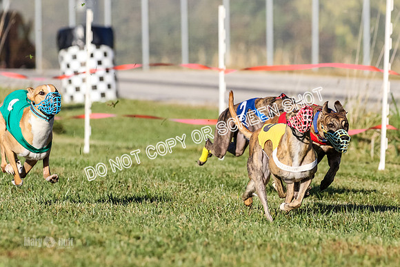 MCH77173  Whirly, Burn, Seavey, Blondi, Deal