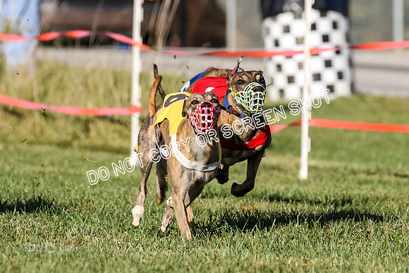 MCH77170  Whirly, Burn, Seavey, Blondi, Deal
