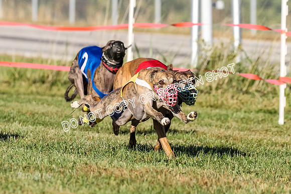MCH77174  Whirly, Burn, Seavey, Blondi, Deal