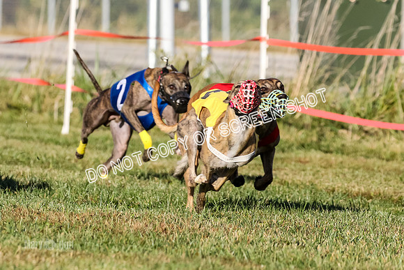 MCH77175  Whirly, Burn, Seavey, Blondi, Deal