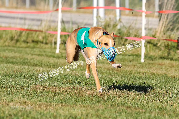 MCH77177  Whirly, Burn, Seavey, Blondi, Deal