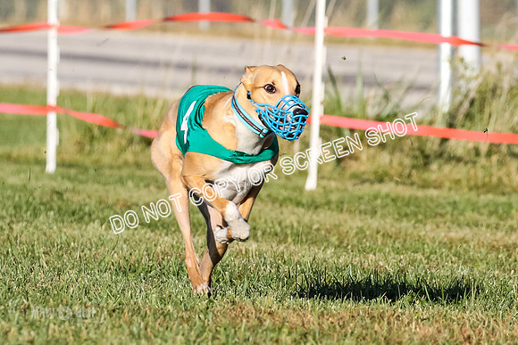 MCH77176  Whirly, Burn, Seavey, Blondi, Deal
