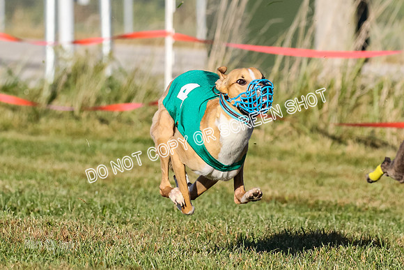 MCH77178  Whirly, Burn, Seavey, Blondi, Deal