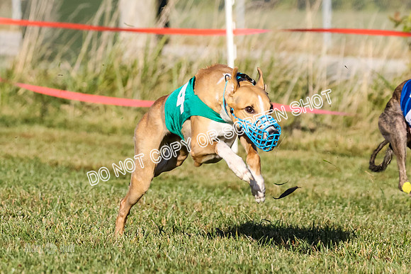 MCH77179  Whirly, Burn, Seavey, Blondi, Deal