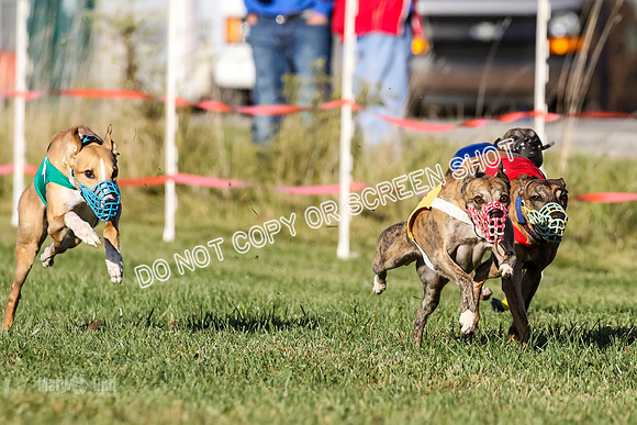 MCH77169  Whirly, Burn, Seavey, Blondi, Deal