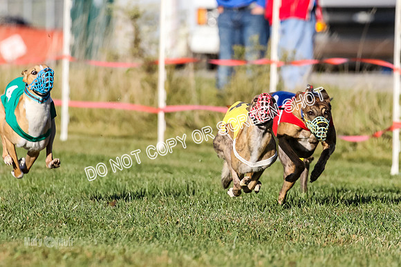 MCH77168  Whirly, Burn, Seavey, Blondi, Deal