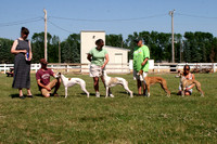 IMG_0734 copy