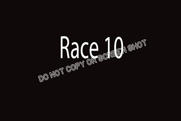 race 10  Ruffian, Bindy-K, Stone, Mikey, Reid, Zivah