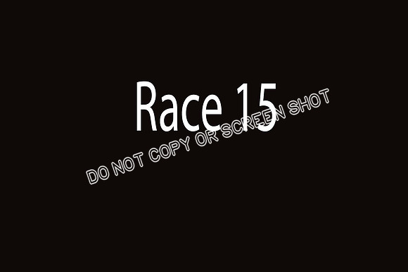 race 15  Riot-E, Bull, Kindle, Stormy-N, Mater