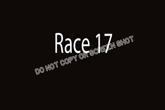 race 17   Lucy-Me, Cutter, CC, Riot, Bubba, Ryder