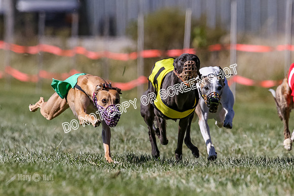 MCH77833