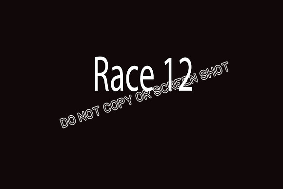 race 12  Deal, Ninja-H, Gronk, Hatch, Eggnog, Tedder