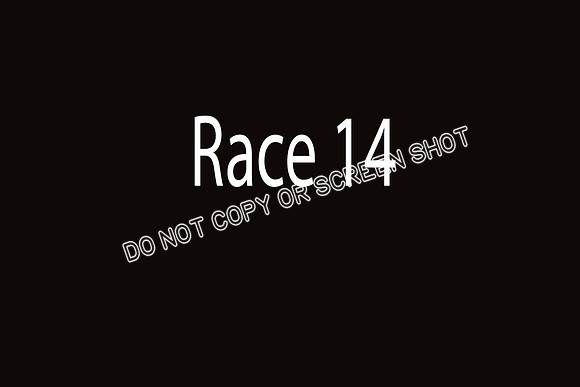 race 14  Jobim, Gibbs, Boudicca, Scout, Cutter, Luca