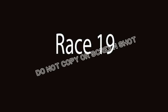 race 19  Cammie, Ryder, Biggie, Mouse
