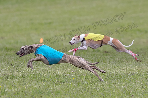 Prelim Veterans 1, Cheers Dora LittleBit-0071