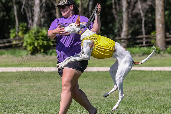 Finals Fch 1 Willow Penny Madyson-8230