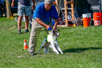 Silken Windhound Prelim, Finnegan-2942