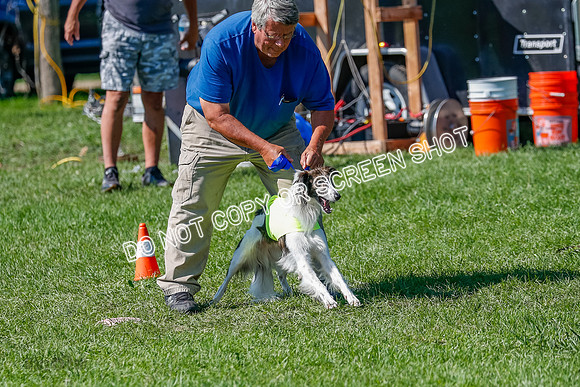 Silken Windhound Prelim, Finnegan-2942